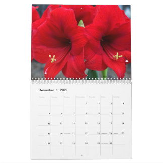 2021 - Calendrier des jardins de Lin