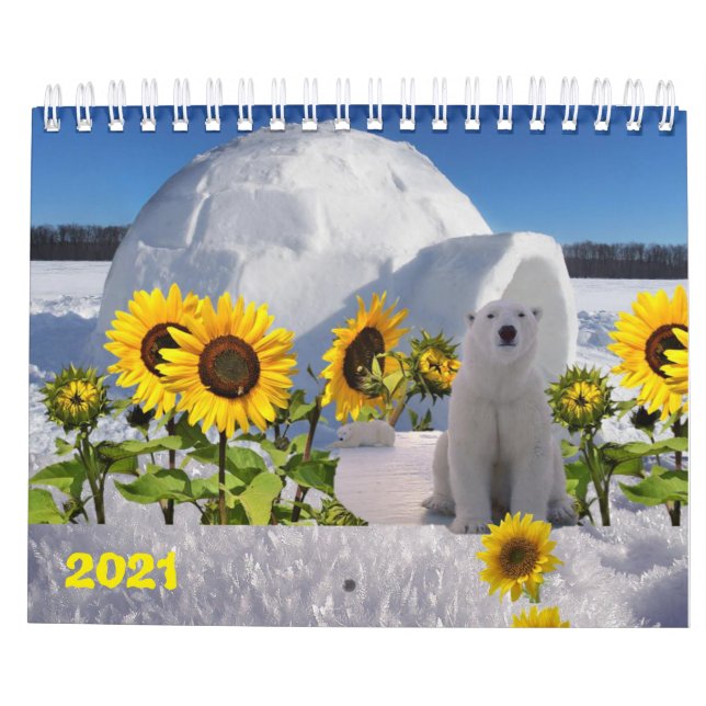 2021 Calendrier Ours polaire (Dos)