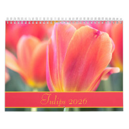 2021 Farbige Tulips Fotografie Kalender