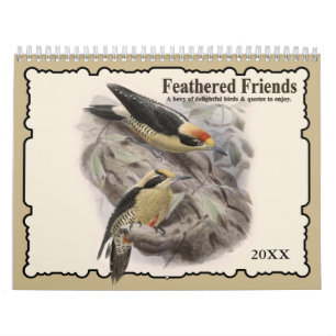 2021 Feathered Friends Vogel-Wandkalender Kalender