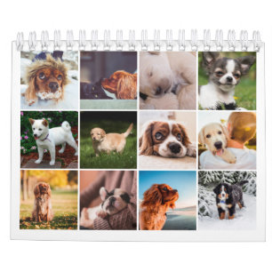 2021 Foto für Welpen Kalender