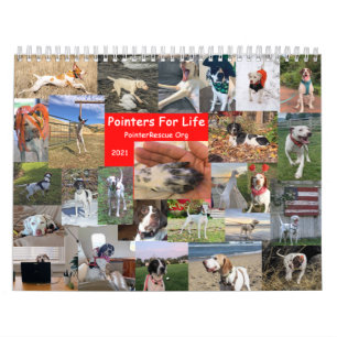 2021 Hinweise für den Lebenskalender von PointerR Kalender