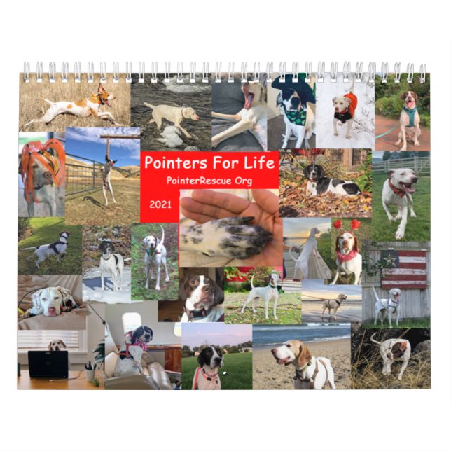 2021 Hinweise für den Lebenskalender von PointerRe Kalender (Titelbild)