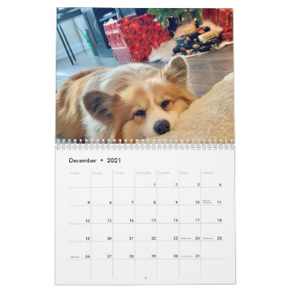 2021 Hudson der Fluffy Corgi Kalender