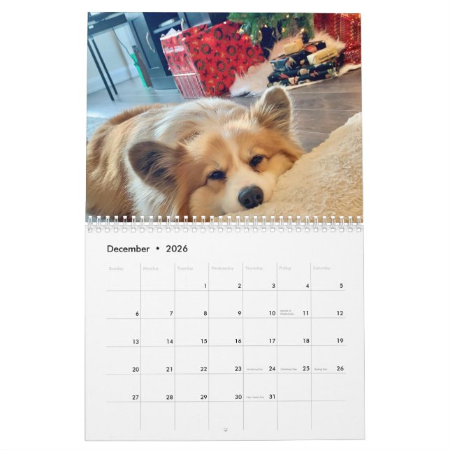 2021 Hudson der Fluffy Corgi Kalender (Dez 2026)