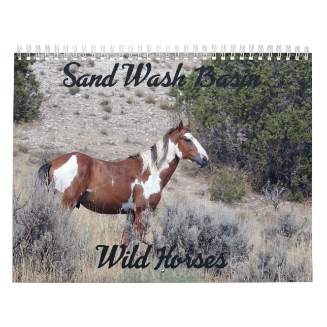 2021 Kalenders des Sandwaschbeckens Kalender (Titelbild)