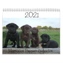 2021 Mastador Puppies-Kalender