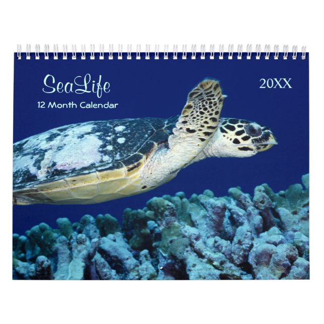 2021 Meeres-Fisch- und Meereslebenskalender Kalender (Titelbild)