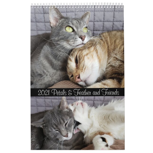 2021 Petals Feather &amp; Friends Kalender (Titelbild)