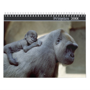 2021 Primats - Kalender der Naturfotografie