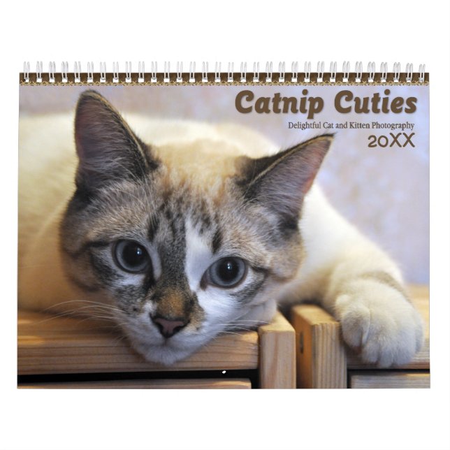 2021 Süssen Katzen und Kätzchen Kalender (Titelbild)