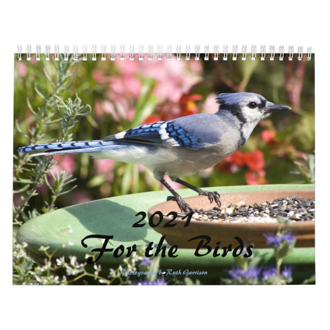 2021 Vogelschutz Kalender (Titelbild)