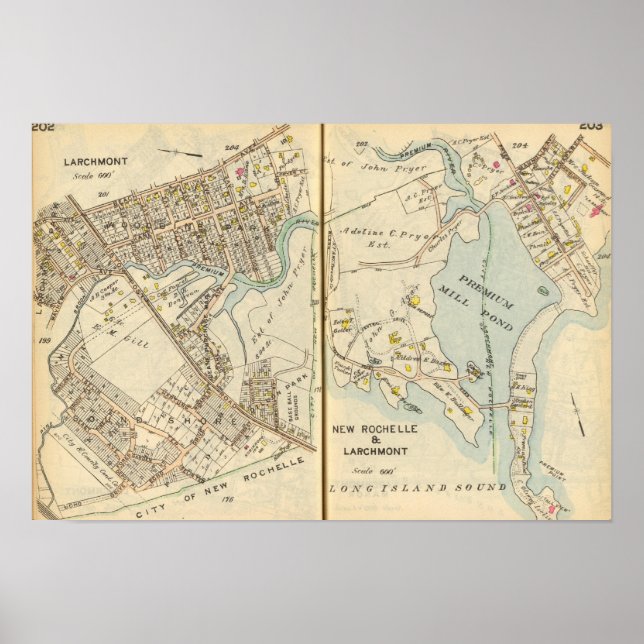 202203 POSTER (Vorne)