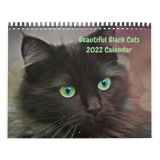 2022 Beaux Chats Noirs Calendrier mural de 12 mois (Protection)