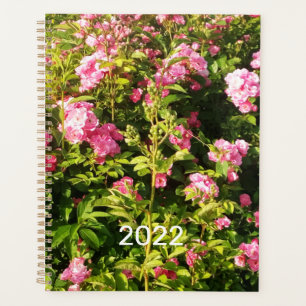 2022 Blütenrosarium Planer