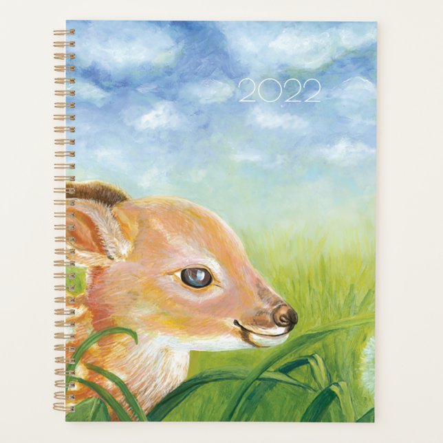 2022 Fawn (Devant)