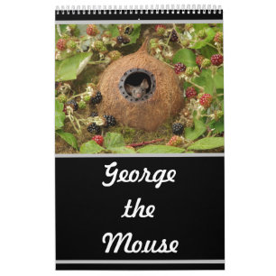 2022 George der Maus-Kalender  Kalender