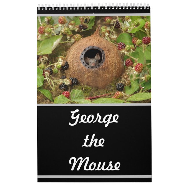2022 George le calendrier souris  (Protection)