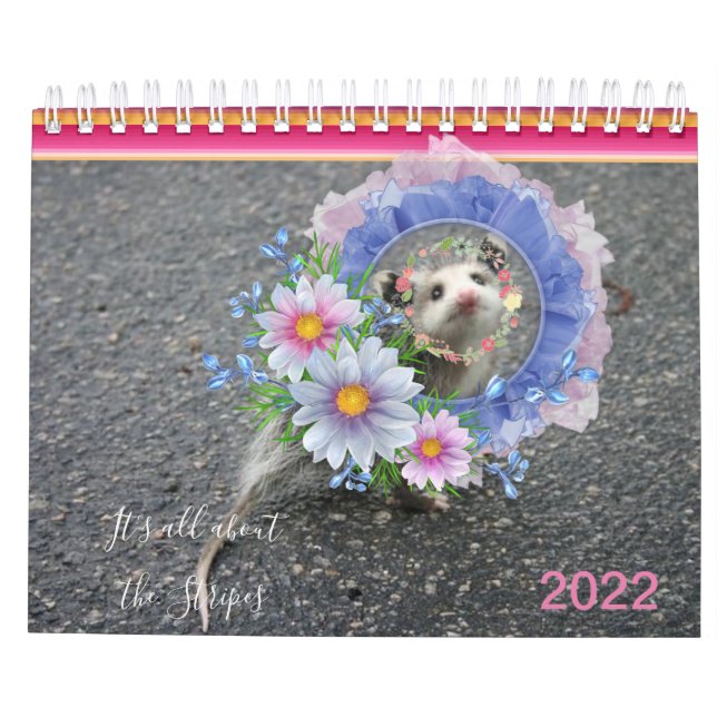 2022 Kalender Farbenfrohe Streifen Opossum (Rückseite)
