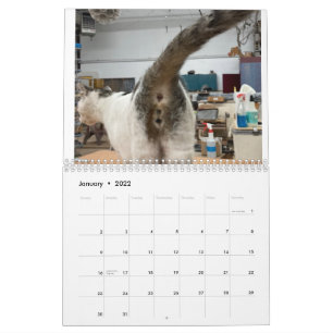 2022 Katzen-Hintern-Kalender Kalender