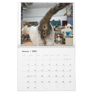 2022 Katzen-Hintern-Kalender Kalender