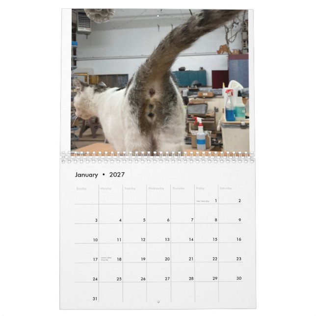 2022 Katzen-Hintern-Kalender Kalender (Jan 2027)