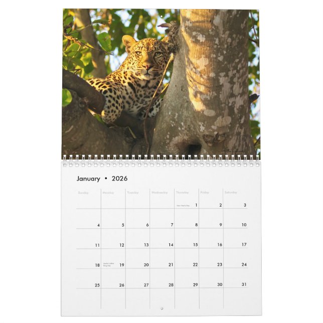 2022 Mauerkalender für Wildtiere Kalender (Jan 2026)