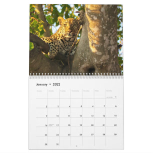 2022 Mauerkalender für Wildtiere Kalender