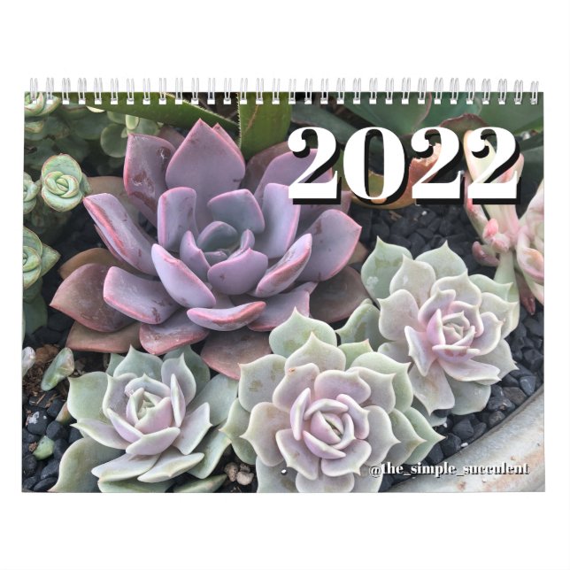 2022 Pflanze-Kalender mit farbenfrohen Säkulenten Kalender (Titelbild)