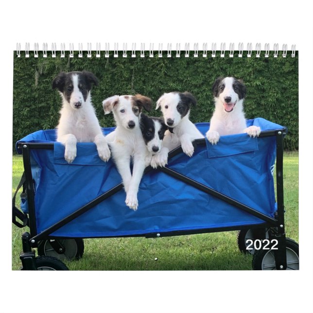 2022 Silken Windhunde (Welpen) Kalender (Titelbild)