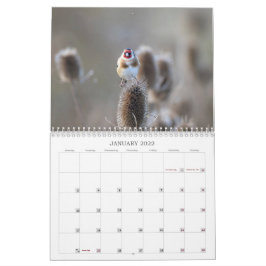 2022 UK Wildlife Calendar Kalender