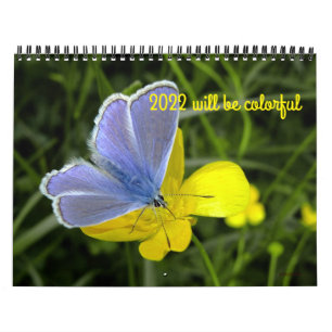 2022 wird farbenfroher Kalender