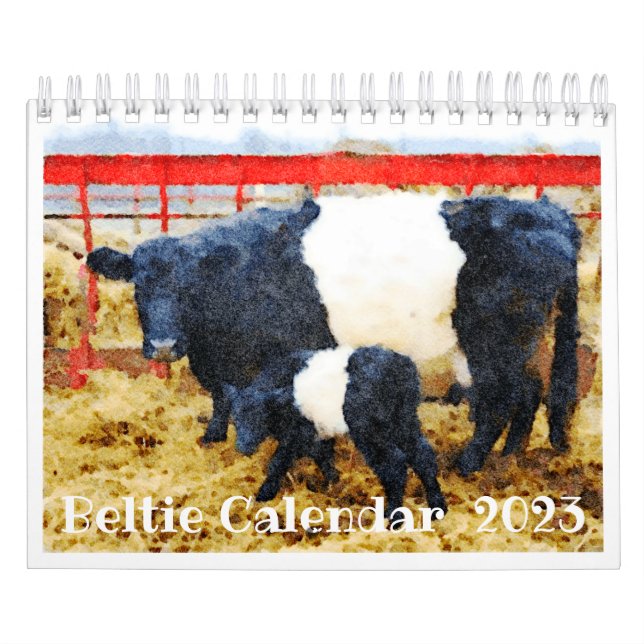 2023 Belted Galloway Beltie Stripe Kuh Rind Kalender (Titelbild)
