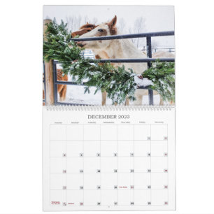 2023 - Calendrier de l'année Mustang du Michigan