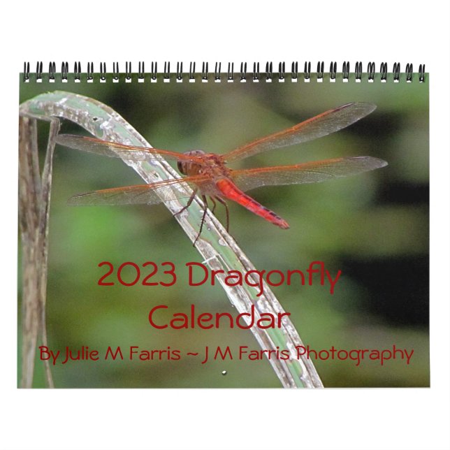 2023 Dragonfly-Wall-Kalender Kalender (Titelbild)