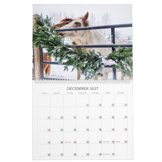 2023 - Ein Michigan Mustang Year Calendar Kalender (Dez 2027)