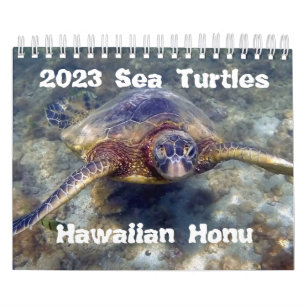 2023 Hawaiian Honu Green Sea Turtles Calendar Kalender