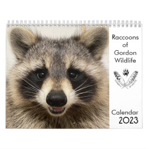 2023 Kalender Raccoons of Gordon Wildlife