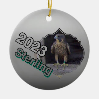2023 Keramik Circle Ornament Sterling