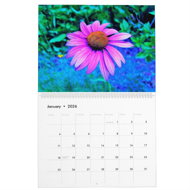 2023 My Rubio Garden Calendrier des fleurs (Jan 2026)