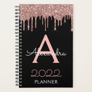 2023 Rose Gold - Rose Pâle et Noir Paillettes Mono