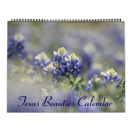 2023 Texas-Bluebonnets Kalender