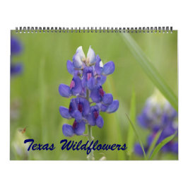 2023 Texas-Wildblumen Kalender