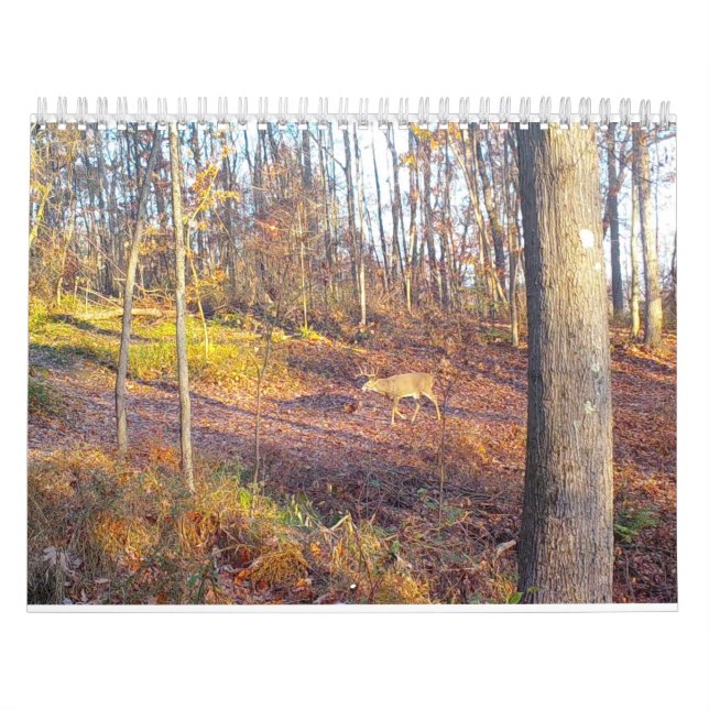 2023 Tiere des Naturkalenders Kalender (Titelbild)