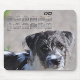 2023 Welpenkalender von Janz Jack Russell Terrier Mousepad