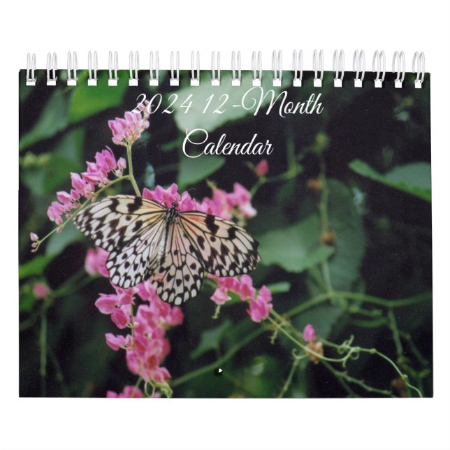 2024 - 12-monatige Vogelarten, Schmetterlinge und  Kalender (Titelbild)