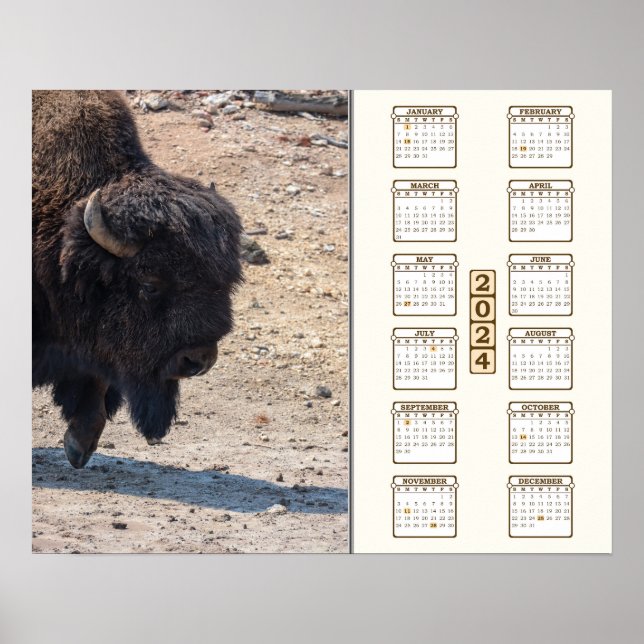 2024 - "Buffalo" Poster (Vorne)