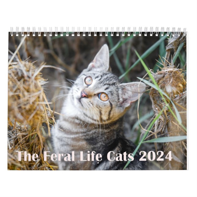 2024 Feral Life 2024 Schöne Katzen Kalender (Titelbild)