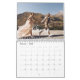 2024 Foto-Chic-Script Kalender (Feb 2025)