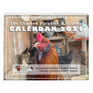 2024 Hühnerparadies Hawaii Kalender